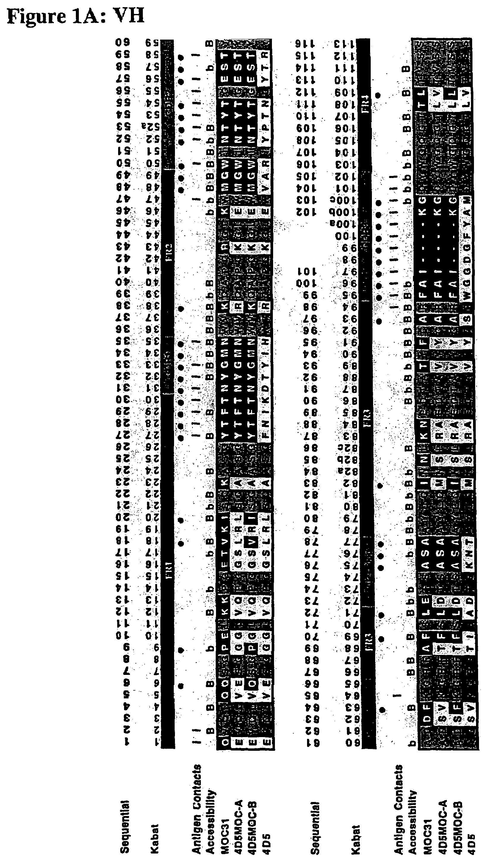 Method for the stabilization of chimeric immunoglobulins or immunoglobulin fragments, and stabilized anti-EGP-2 scFv fragment