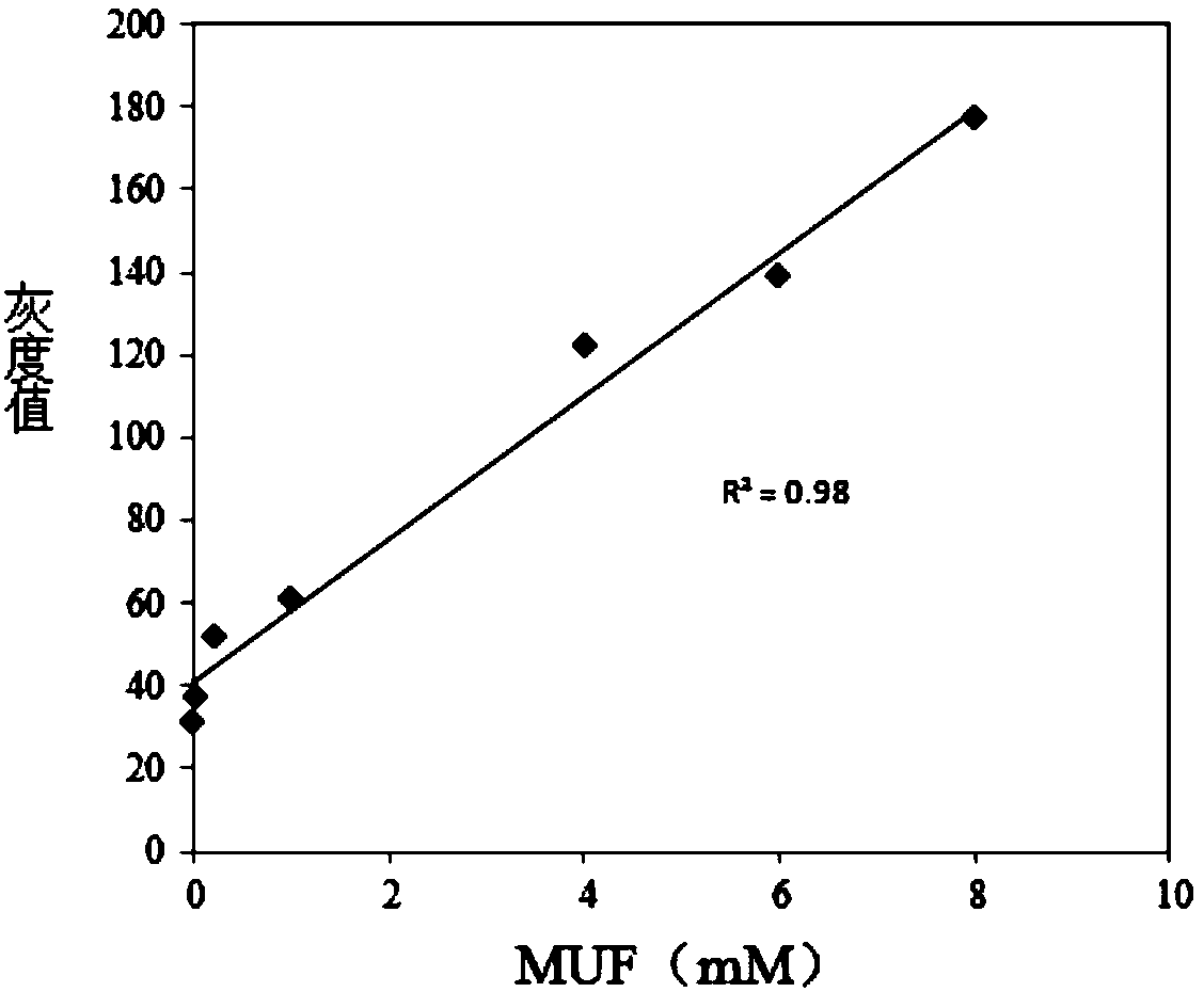 In situ determination method of enzymatic activity in soil