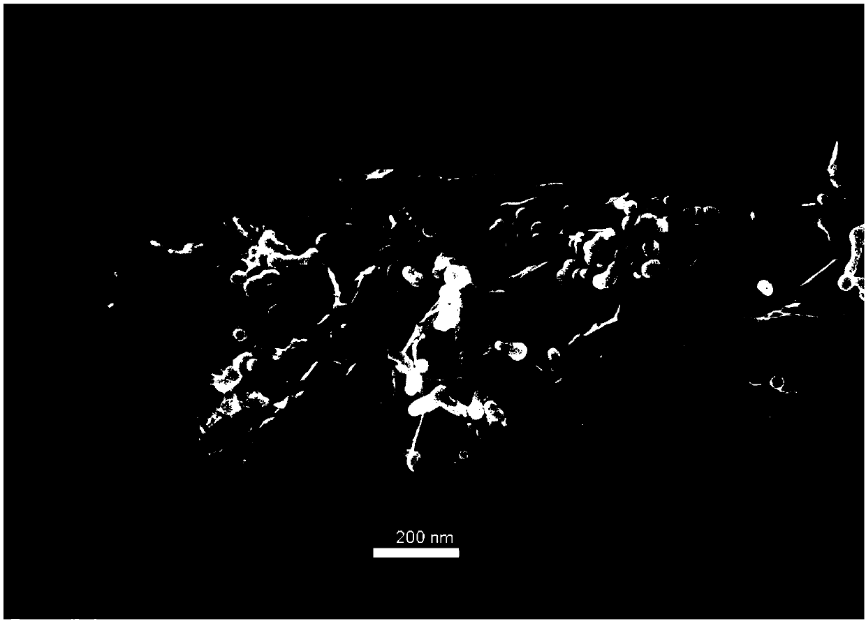 Silicon embedded redox graphene/graphite phase carbon nitride composite material, preparation and application thereof