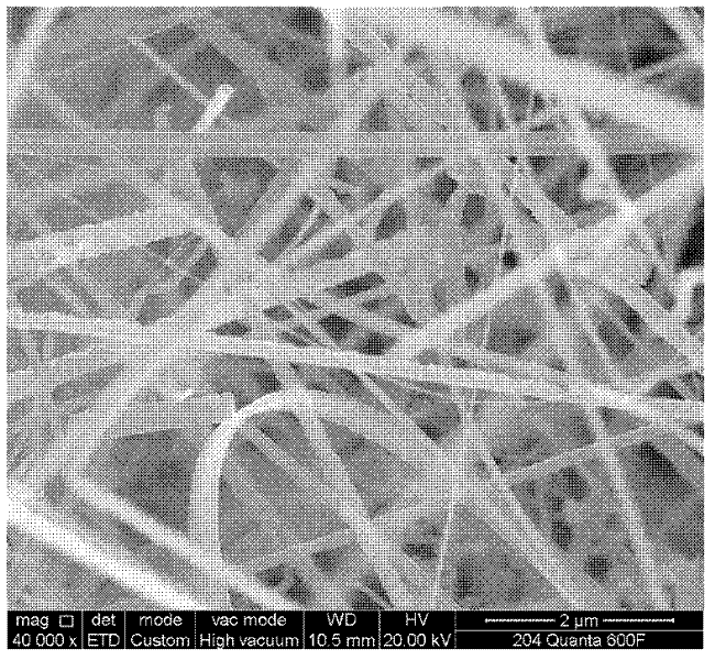 Method for preparing SiC nanometre wires and nanometre belts