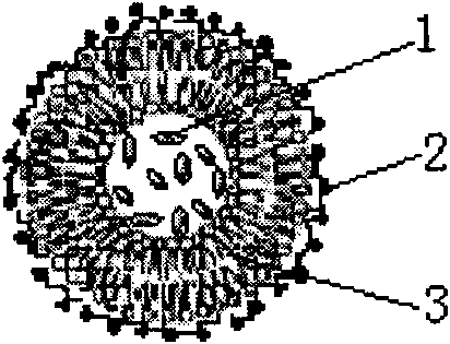 Magnetic liposome and method for preparing same