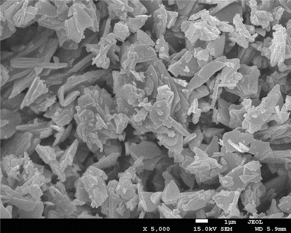 Negative electrode active material and preparation method thereof, as well as lithium ion battery