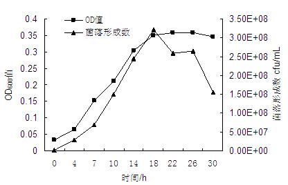 Method for culturing paenibacillus polymyxa at high density