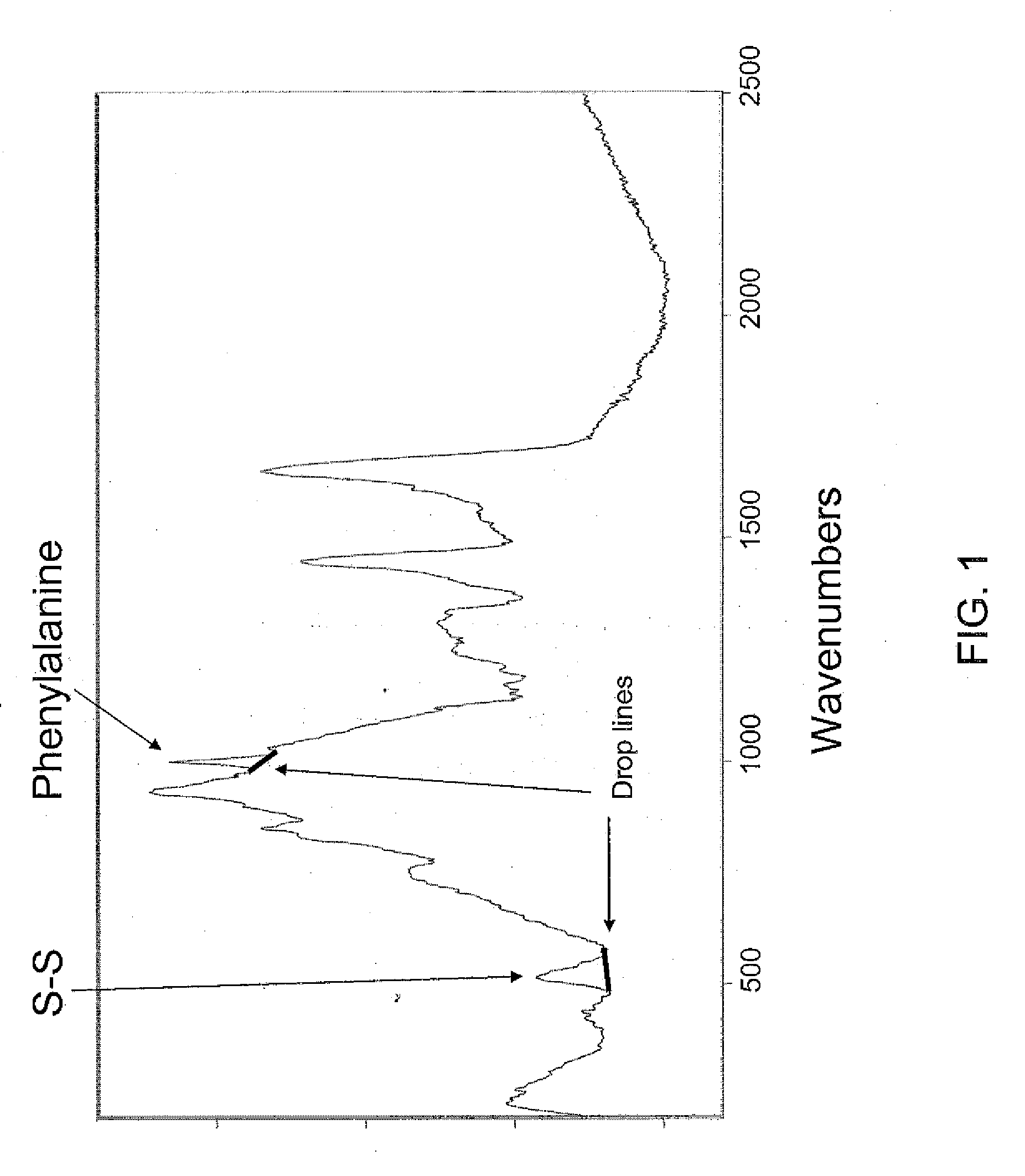 Method for determination of bone fracture risk using raman spectroscopy