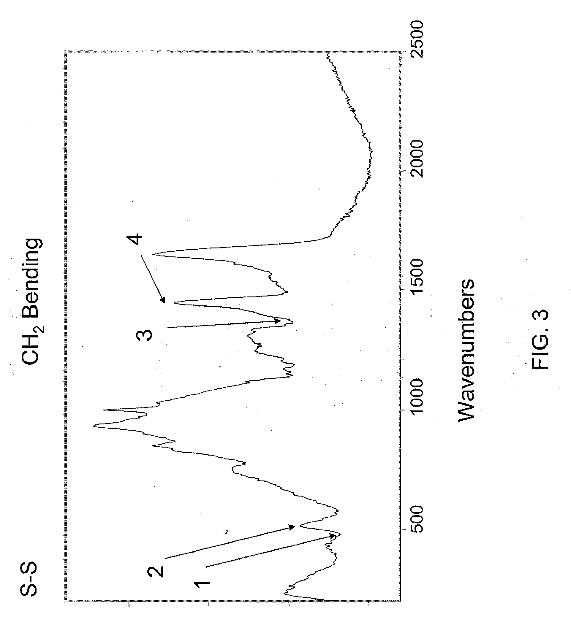 Method for determination of bone fracture risk using raman spectroscopy