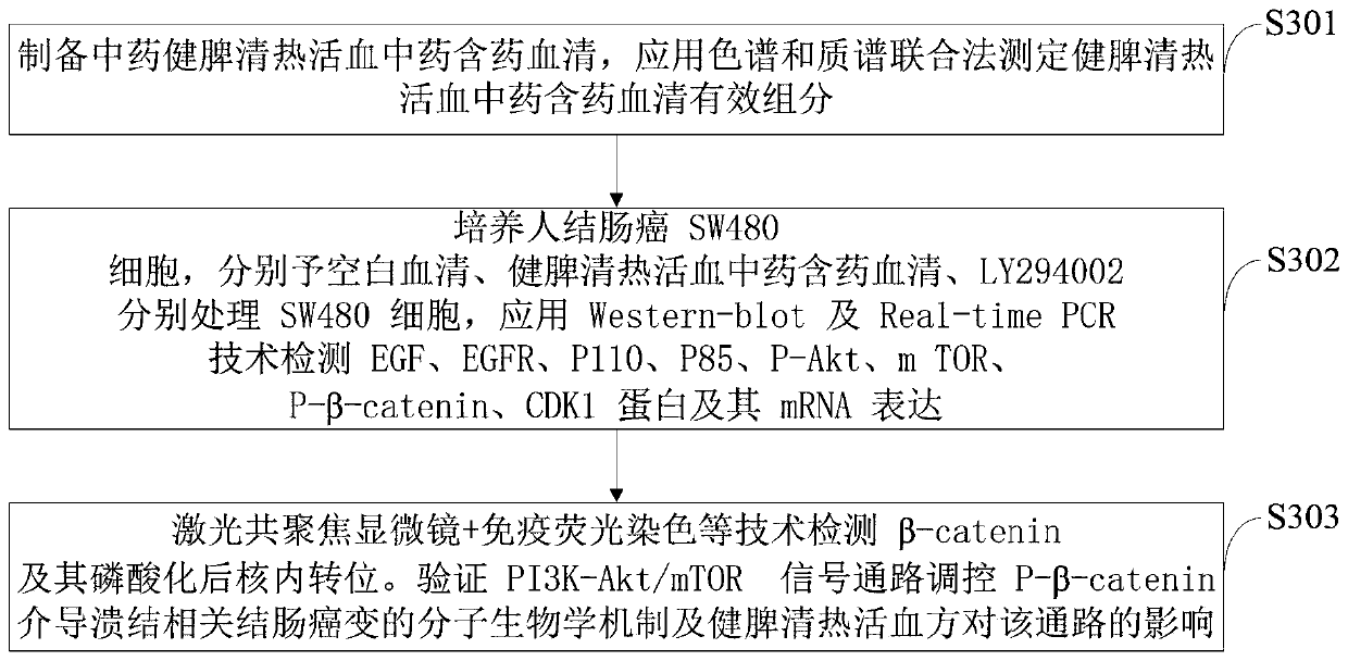 Detection method for preventing and treating ulceration canceration mechanism by spleen-tonifying, heat-clearing and blood-activating formula