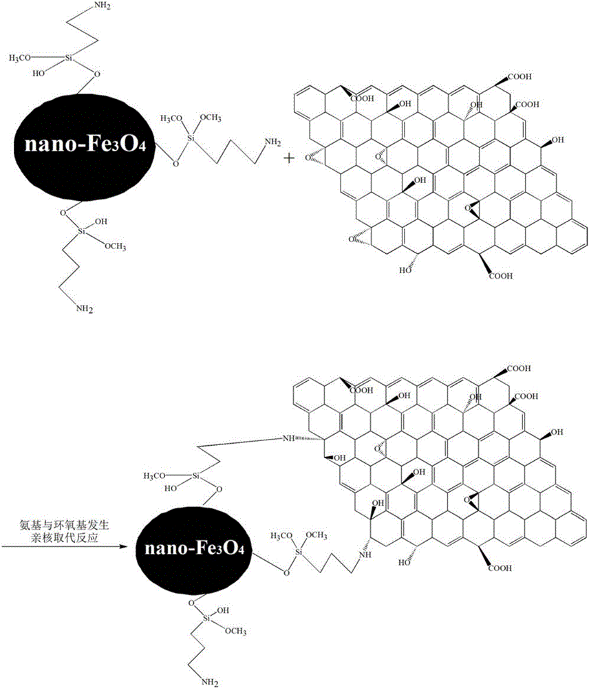 Magnetic graphene oxide sewage treating agent capable of adsorbing heavy metal ions and preparation method thereof