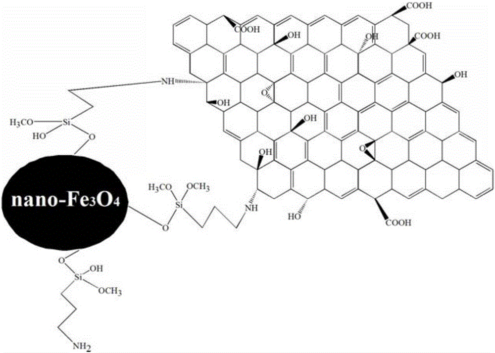 Magnetic graphene oxide sewage treating agent capable of adsorbing heavy metal ions and preparation method thereof