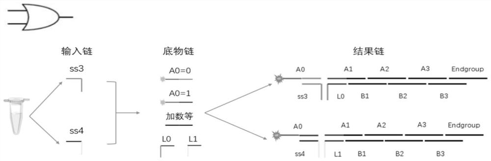 DNA molecular logic gate based on nucleic acid hybridization