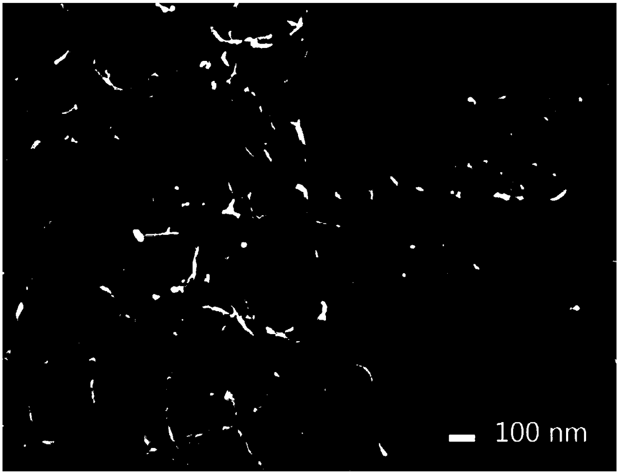 Modified carbon nano tube material and preparation method and application thereof