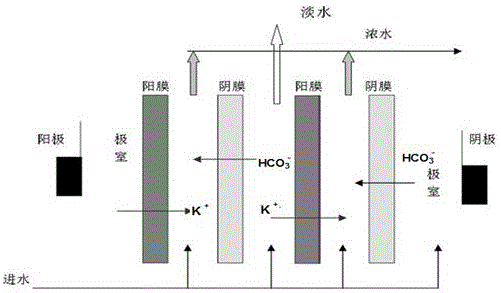 Separation and purification method of D,L-methionine