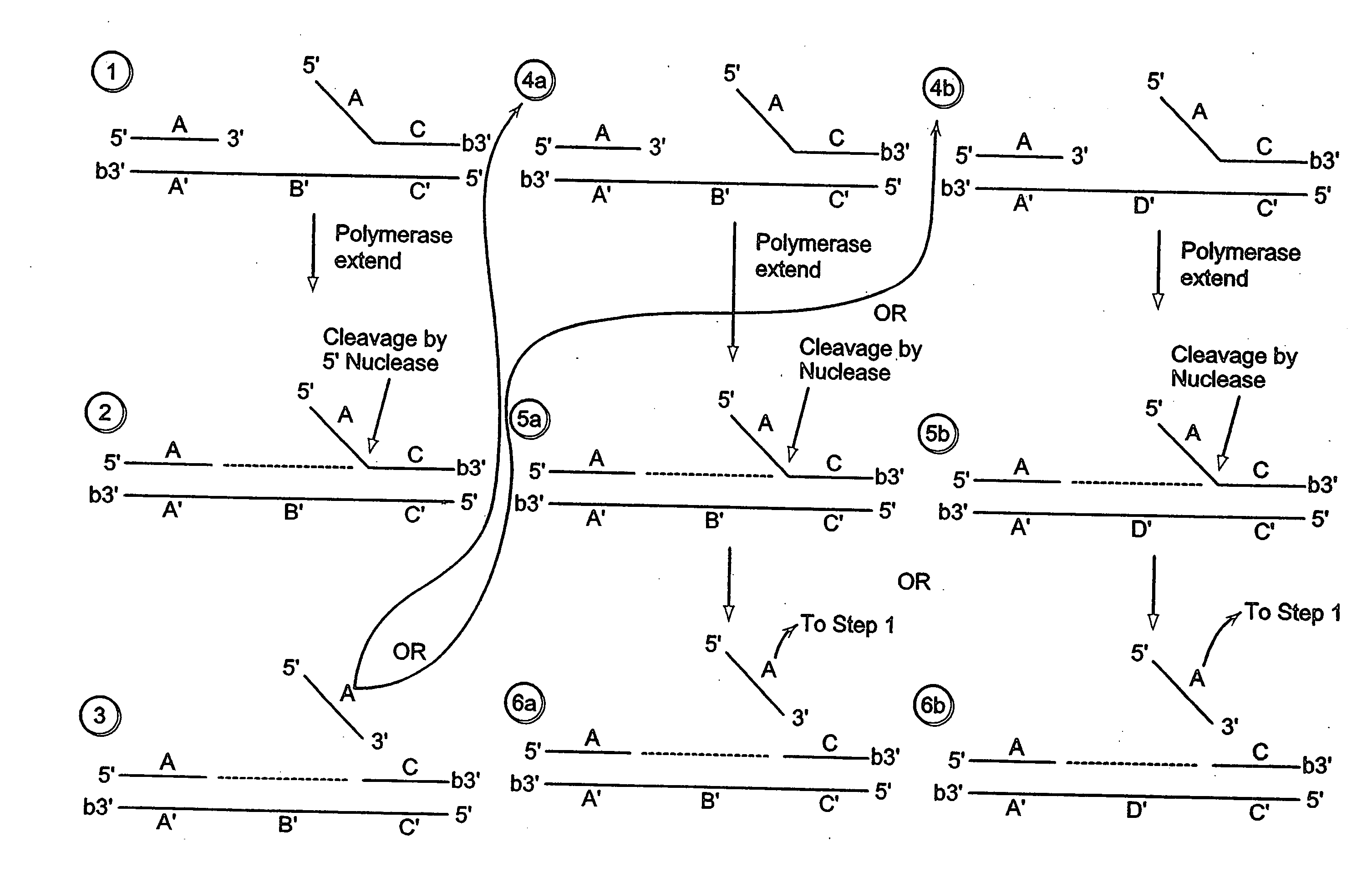 Methods for detection of a nucleic acid by sequential amplification