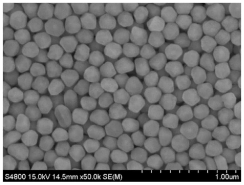 A kind of Raman detection kit and Raman detection method of organophosphorus