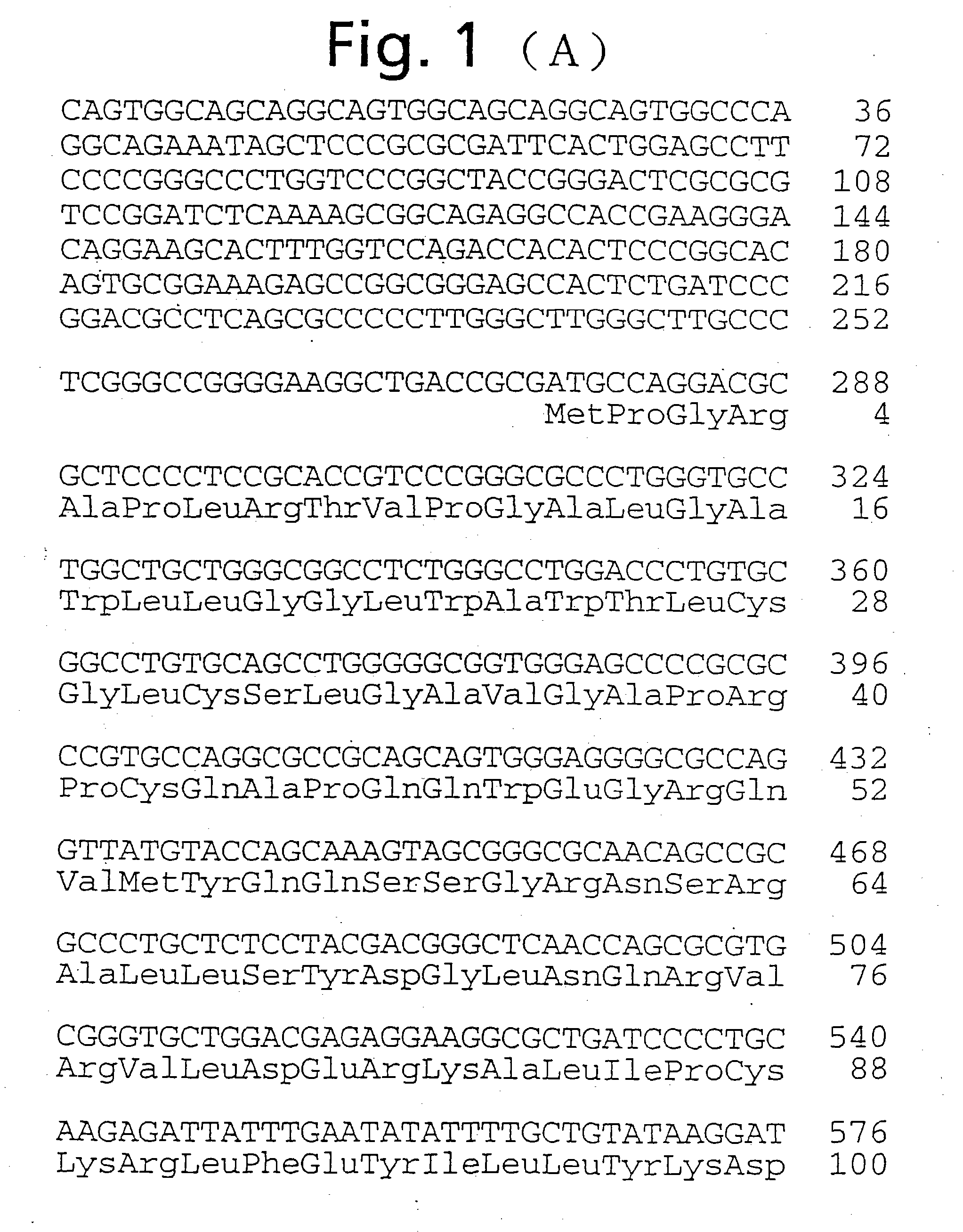 Novel human ependymin-like protein