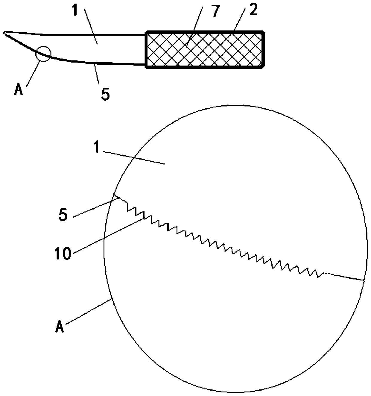 Shell-shaped mussel dissection tool with adaptive cutting board curvature