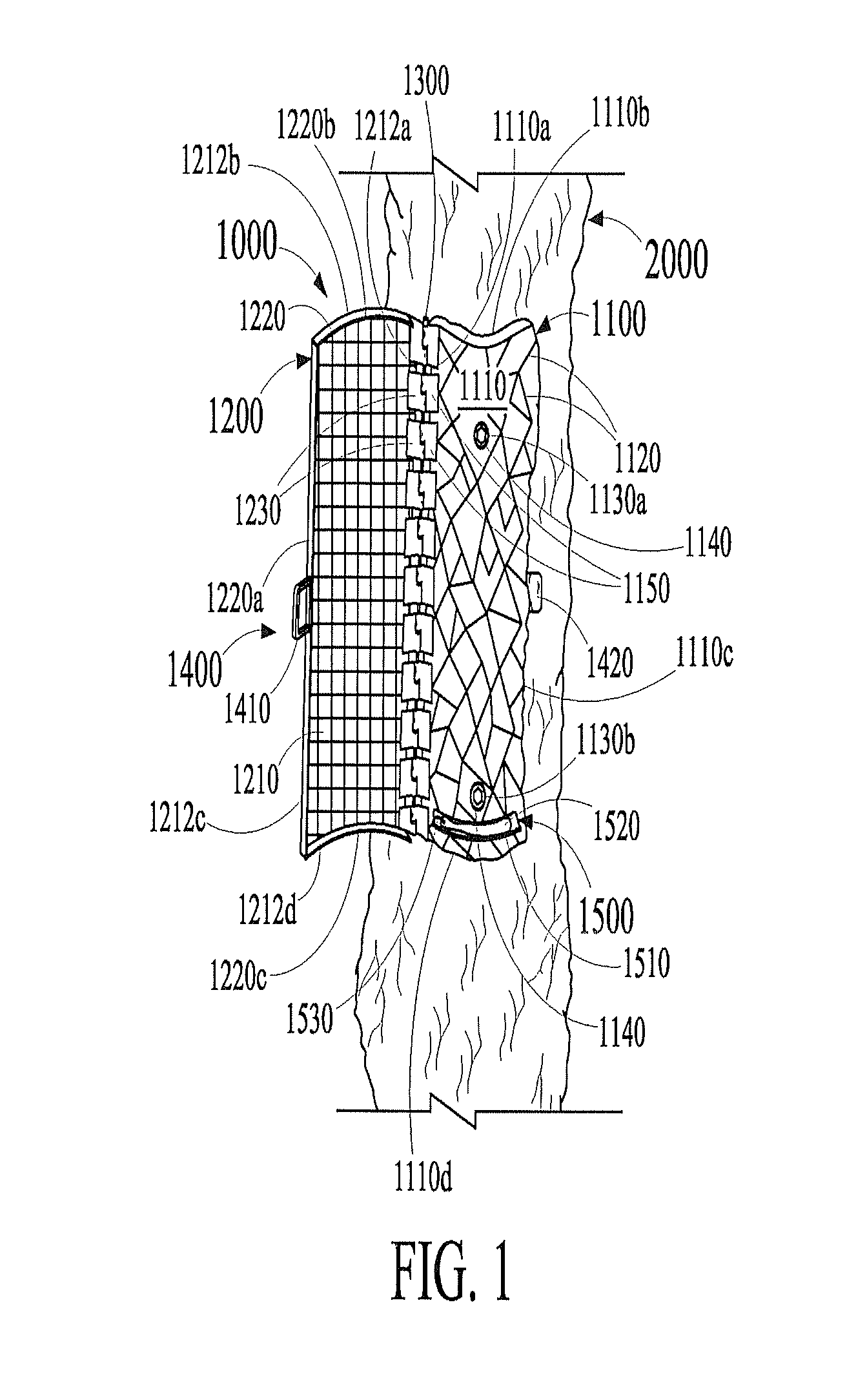 Bird feeding apparatus