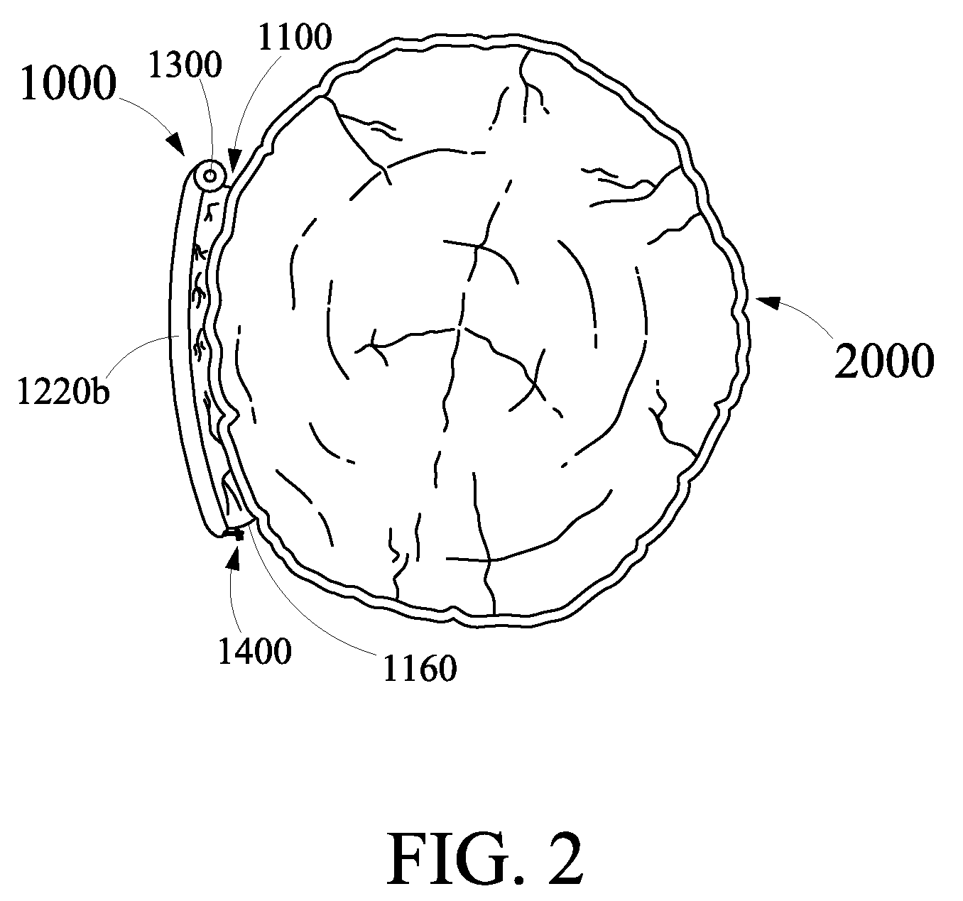 Bird feeding apparatus