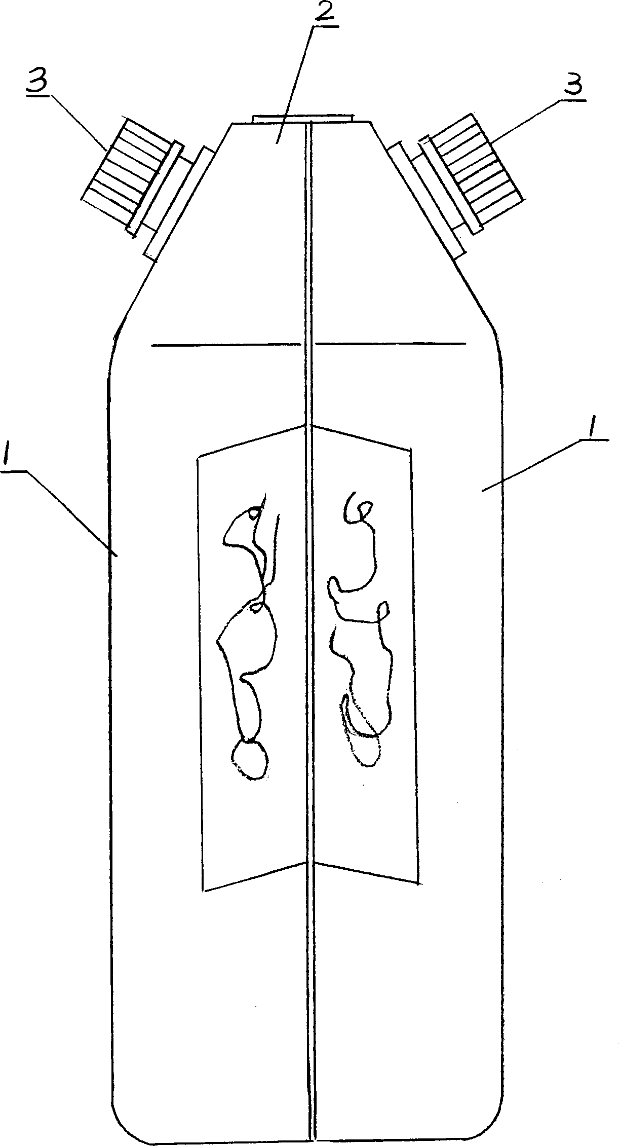 Multi-mouth bottle and bottles produced thereby