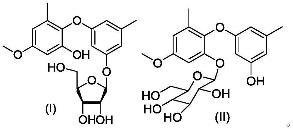 A kind of marine fungus derived from Difidocus gorgonian and its application in the preparation of antibacterial drugs