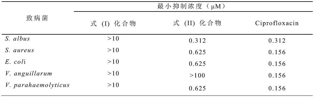 A kind of marine fungus derived from Difidocus gorgonian and its application in the preparation of antibacterial drugs