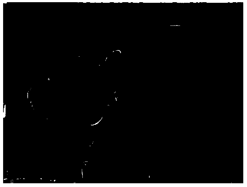 Three-dimensional image semi-fragile watermarking method based on binocular just-perceived distortion