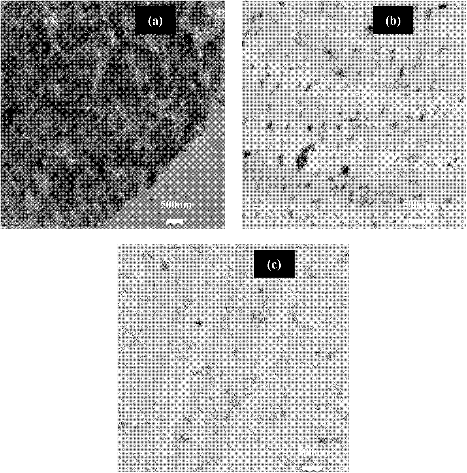 Carbon-nanotube-containing polymer nanocomposite and preparation method thereof