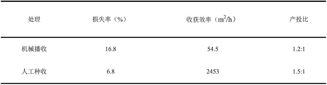 Production method for direct-seeding winter rape suitable for mechanized harvesting