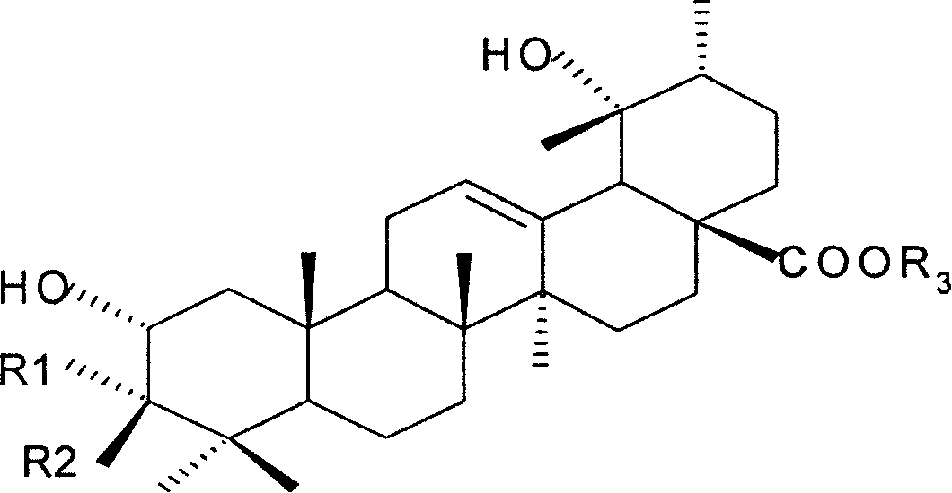 Medicine use of potentilla plants total-triterpene extract