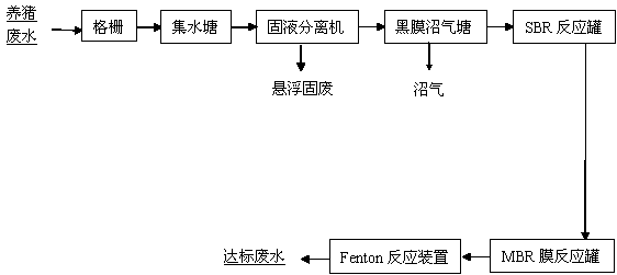 Combined type SBR (Sequencing Batch Reactor)-MBR (Membrane Bioreactor)-Fenton pig-raising wastewater treatment method