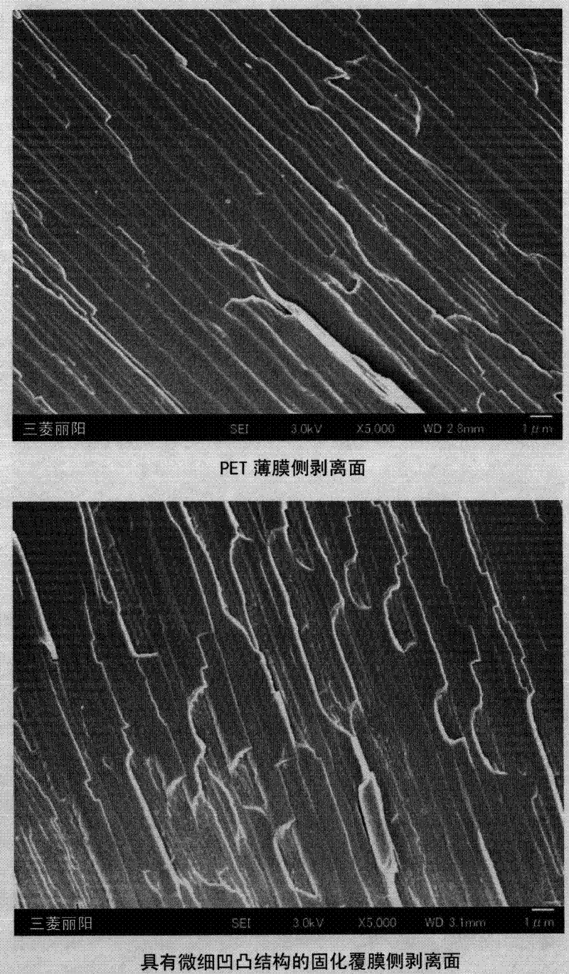 Process for producing film