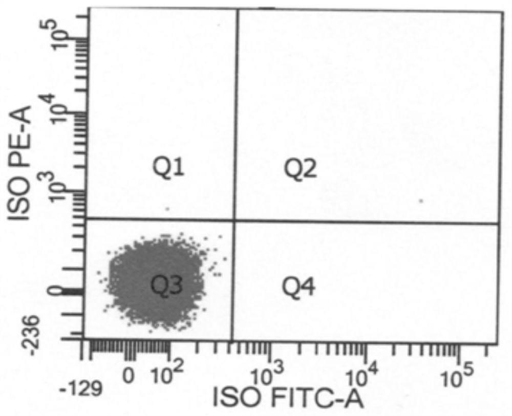 Efficient factor secreting type NK cell amplification method and application thereof