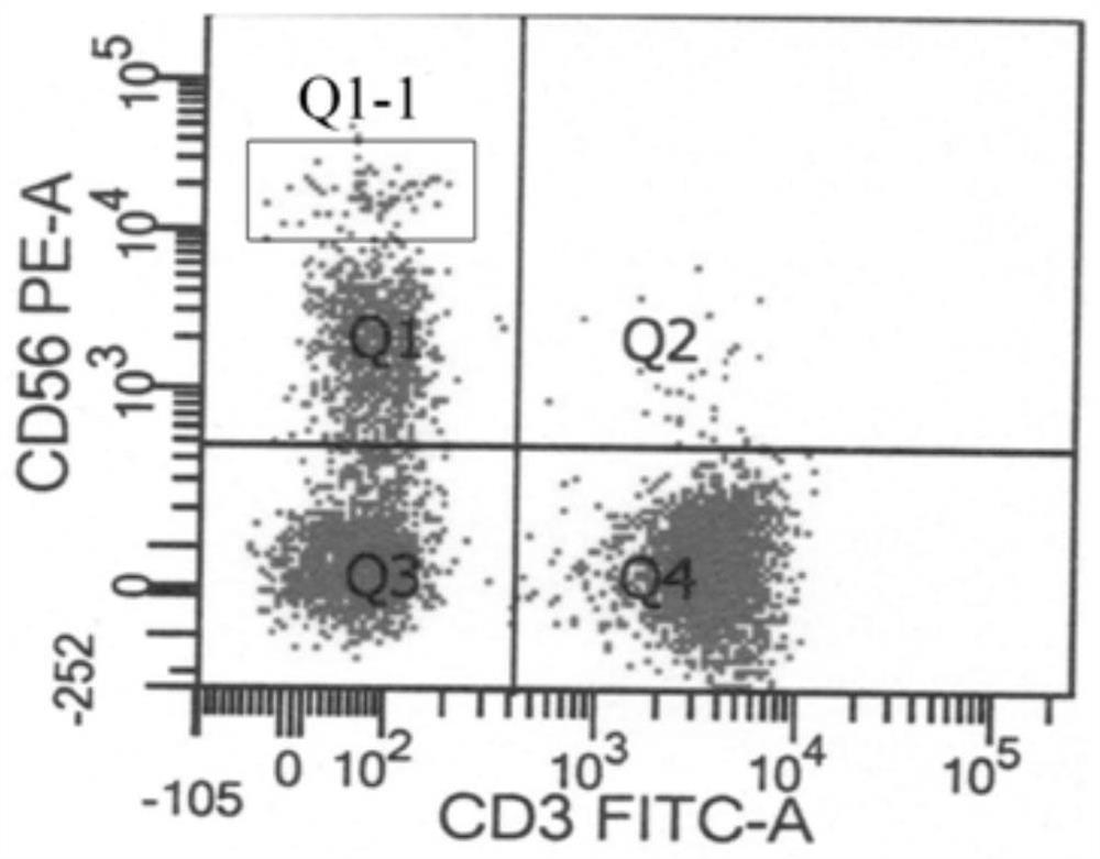 Efficient factor secreting type NK cell amplification method and application thereof