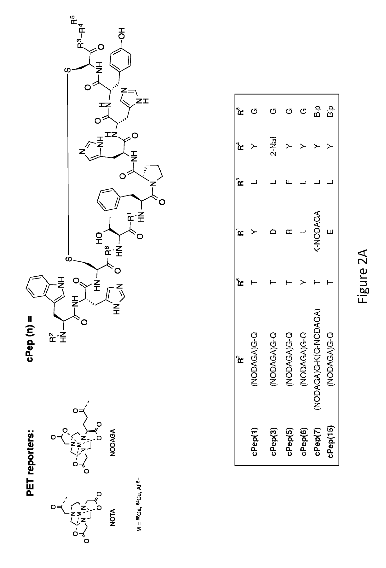 Collagen targeted imaging probes