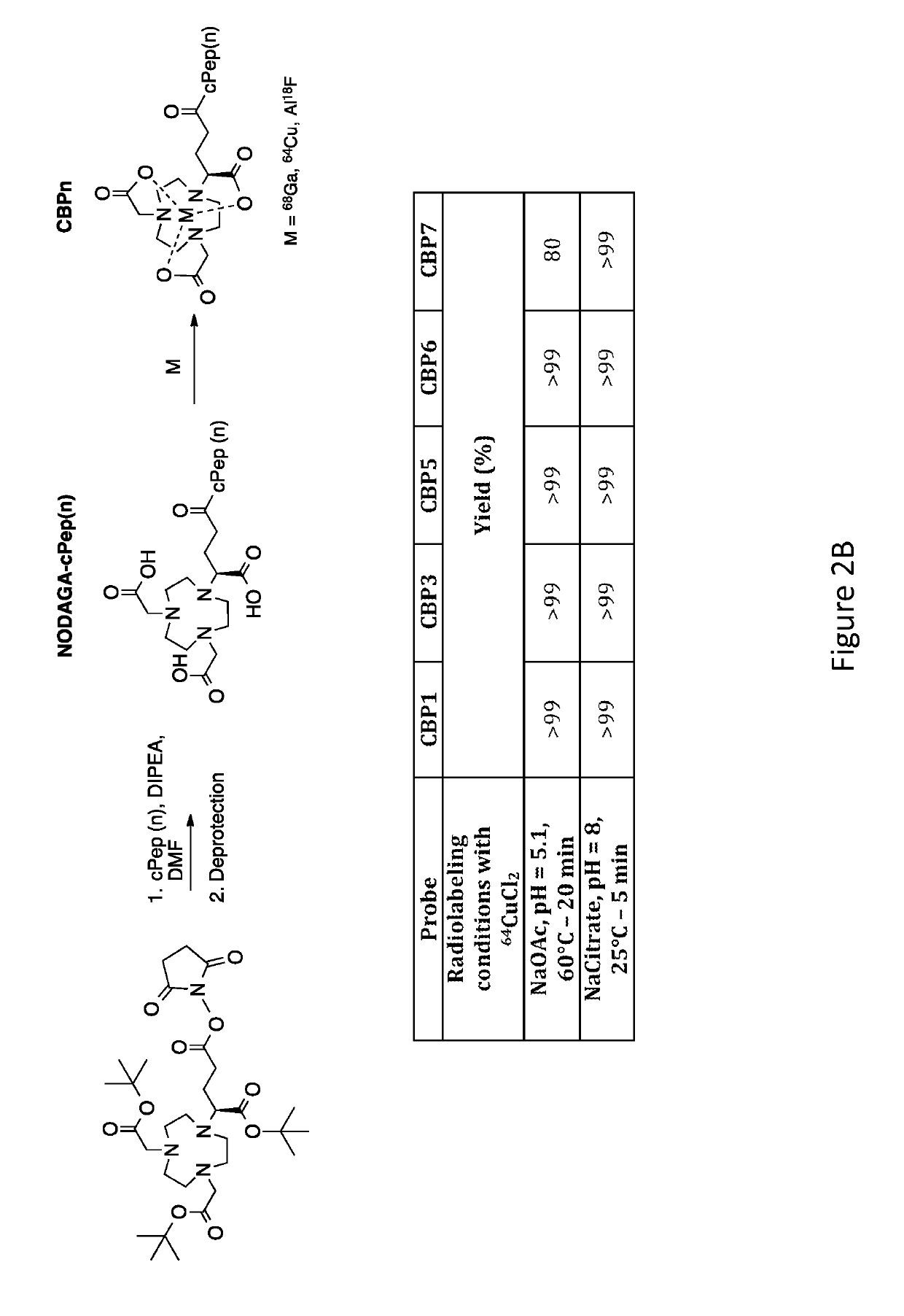 Collagen targeted imaging probes