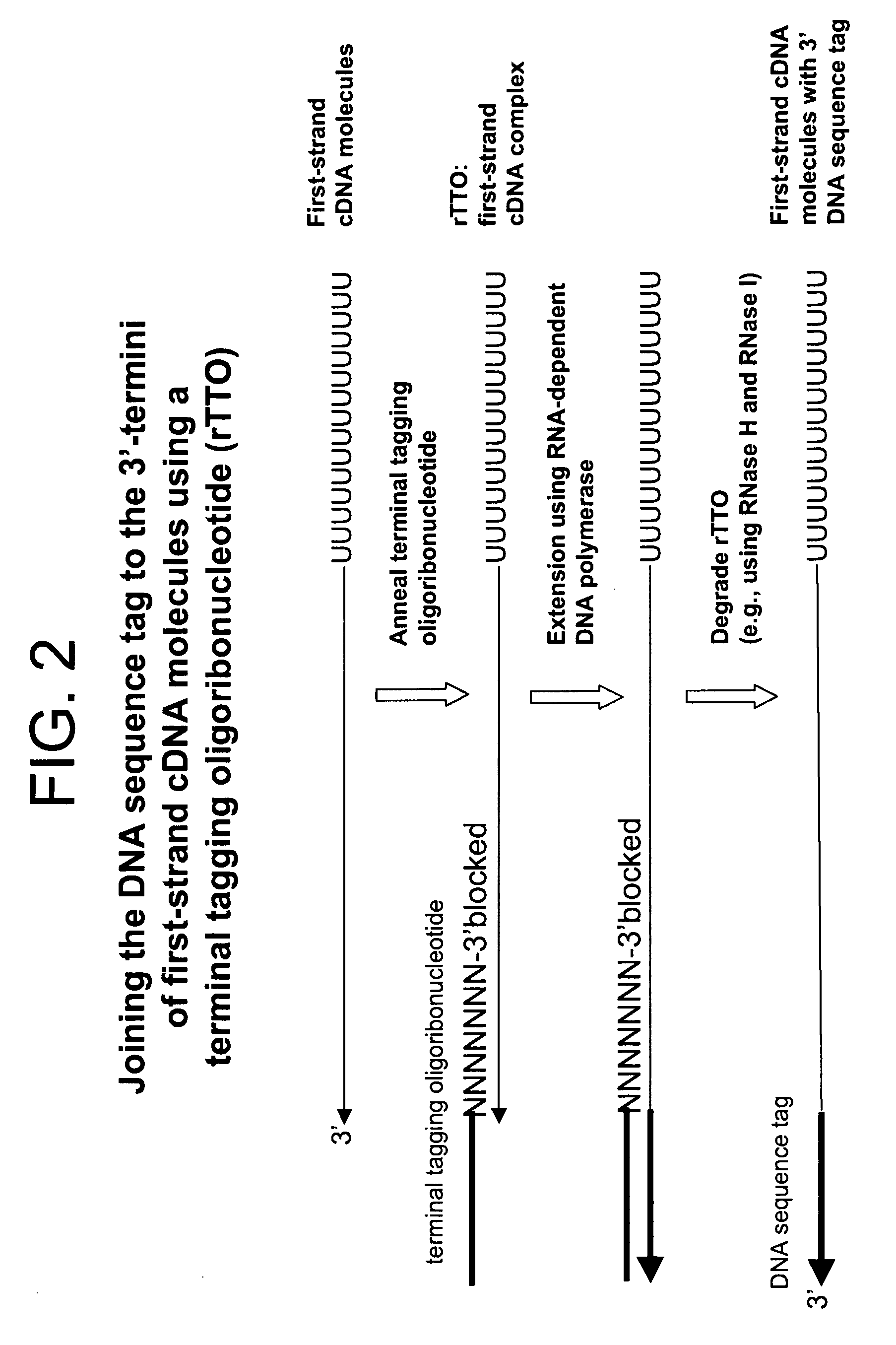 Synthesis of tagged nucleic acids