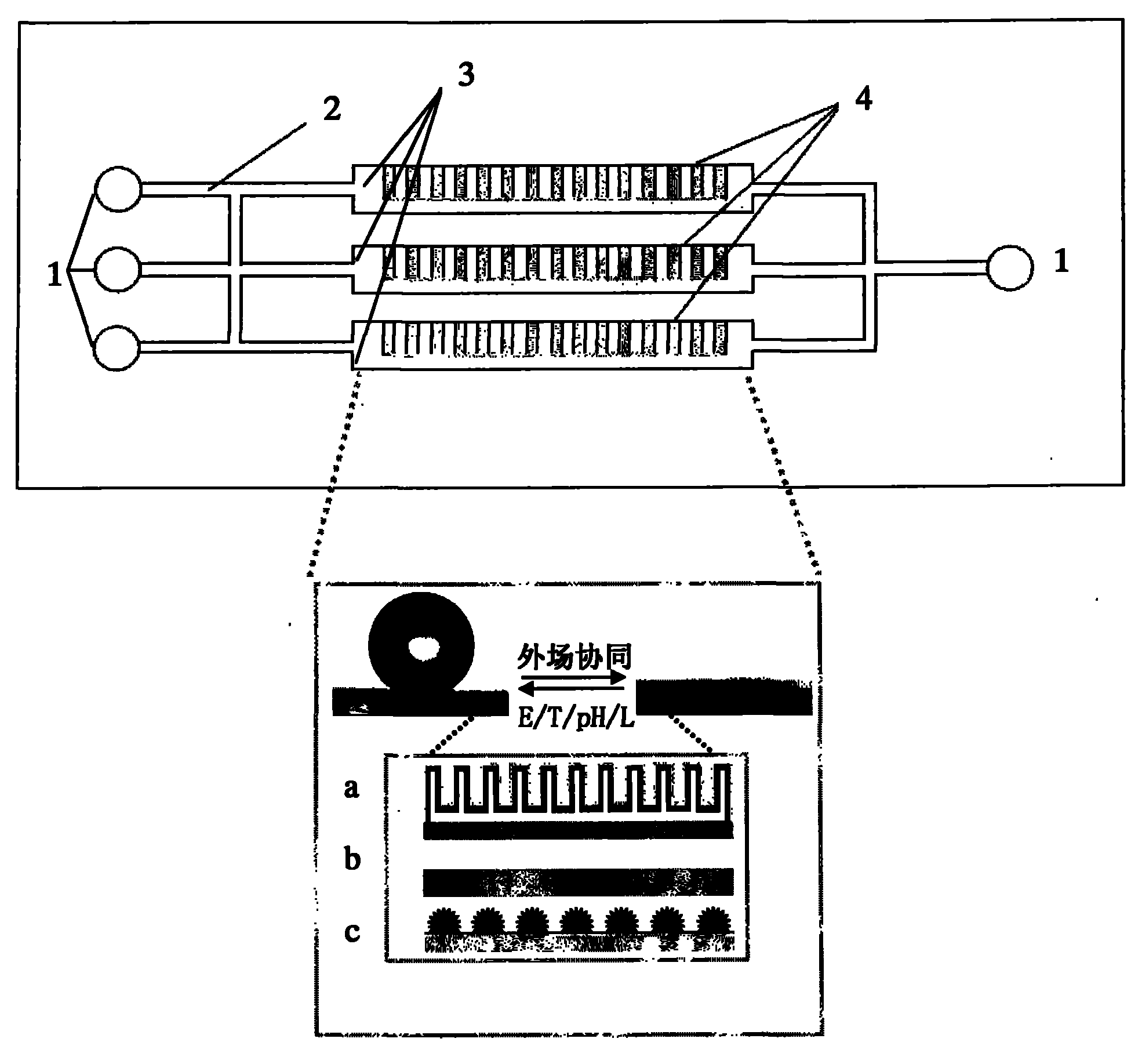 Microfluidic chip and manufacturing method thereof