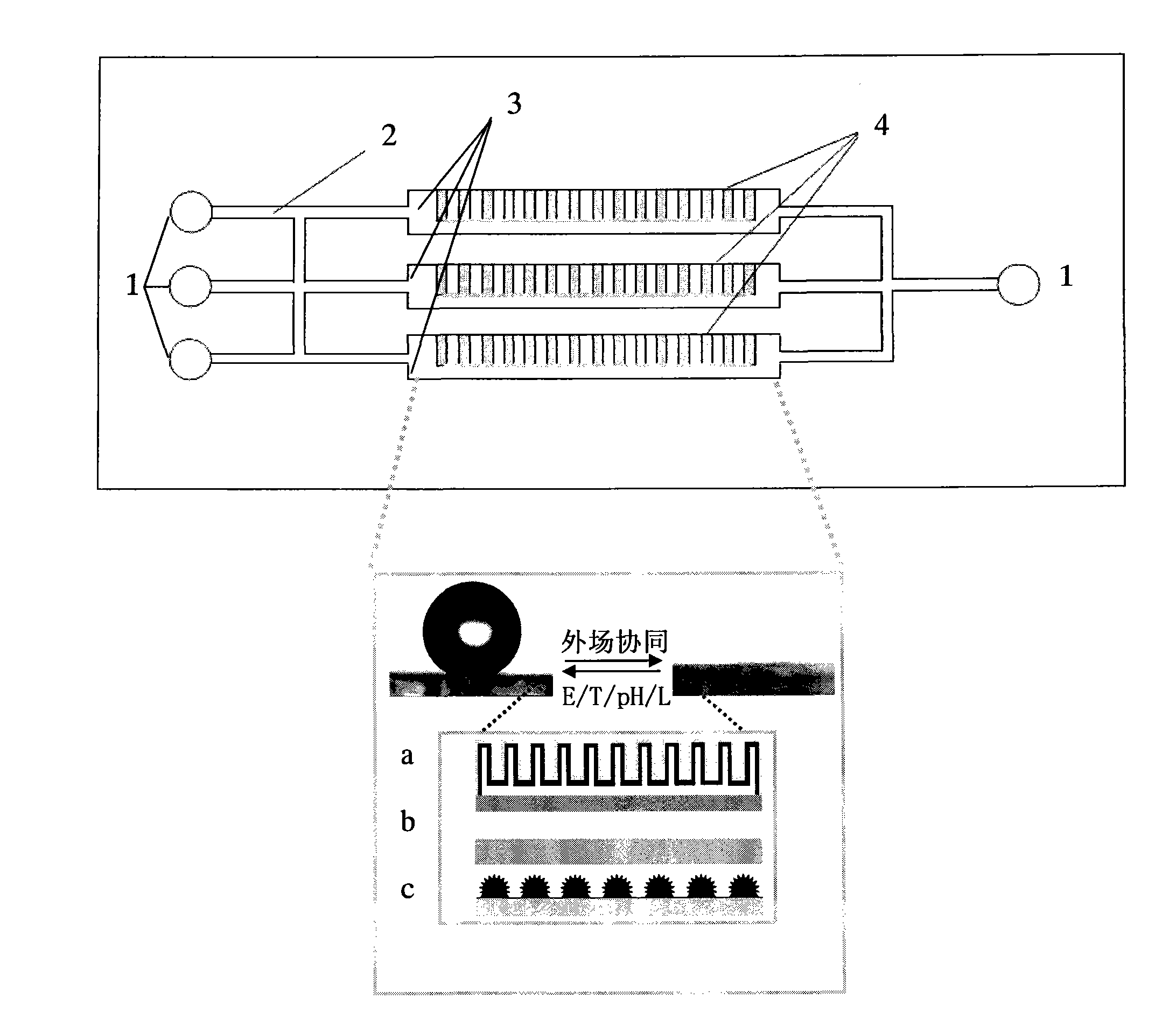 Microfluidic chip and manufacturing method thereof