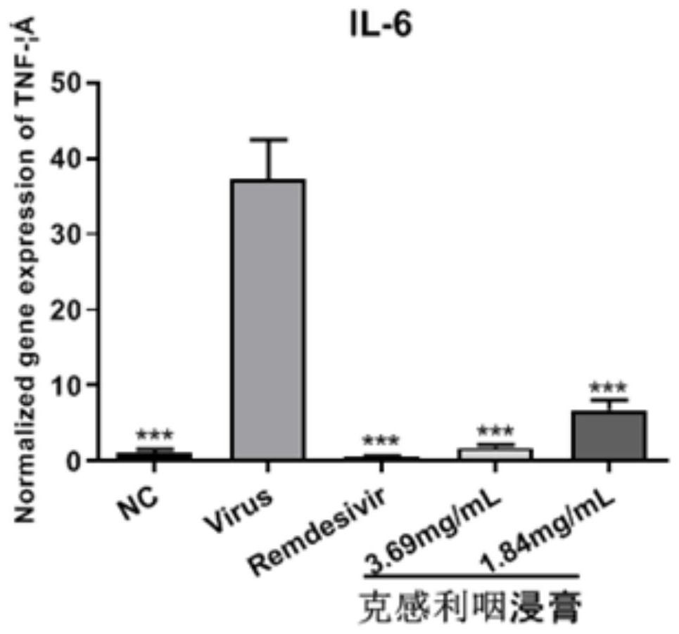 Application of traditional Chinese medicine composition in preparation of anti-novel coronavirus drug