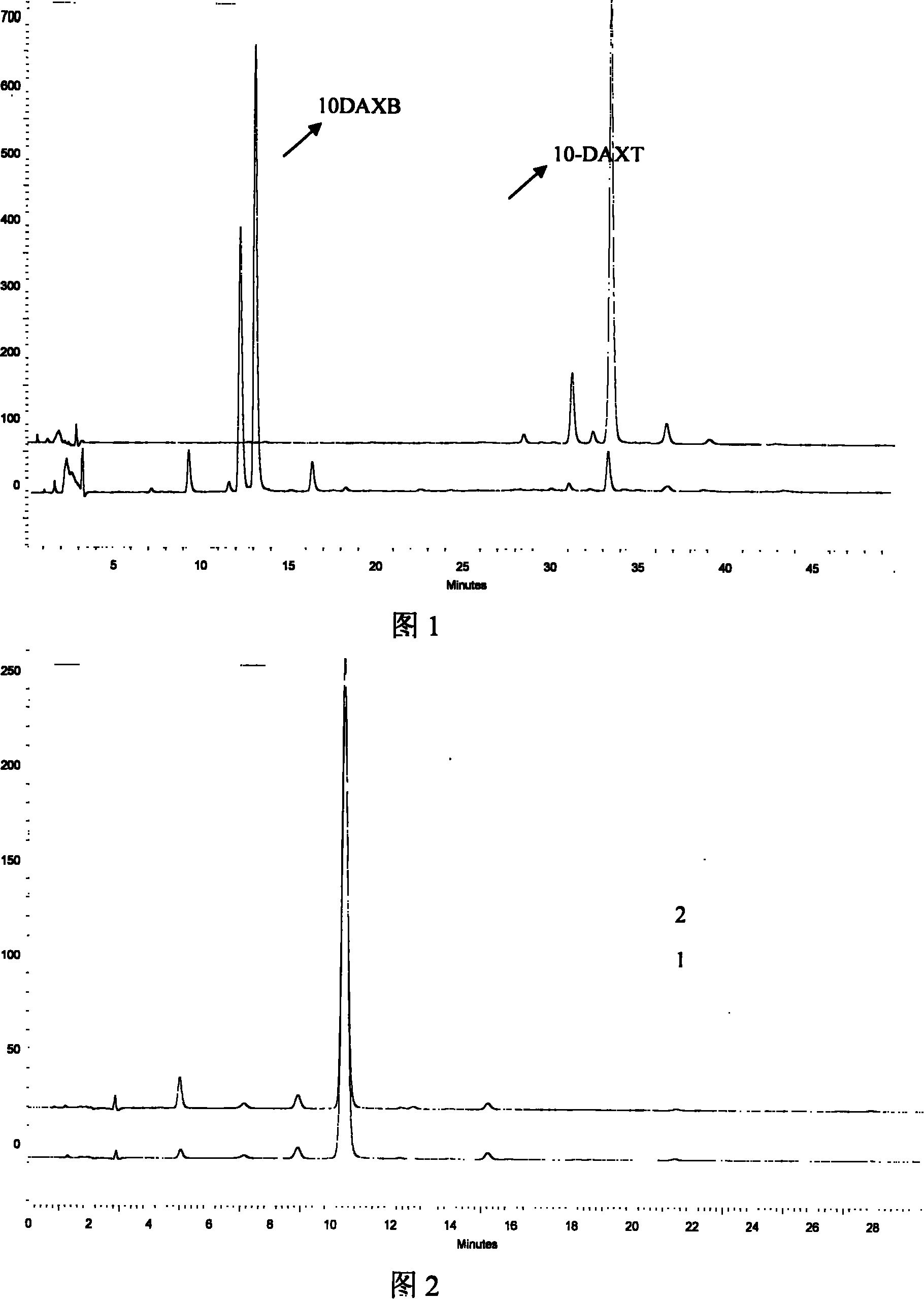 Preparation of 10-deacetyl 7-xylose baccatin or 7-xylose baccatin