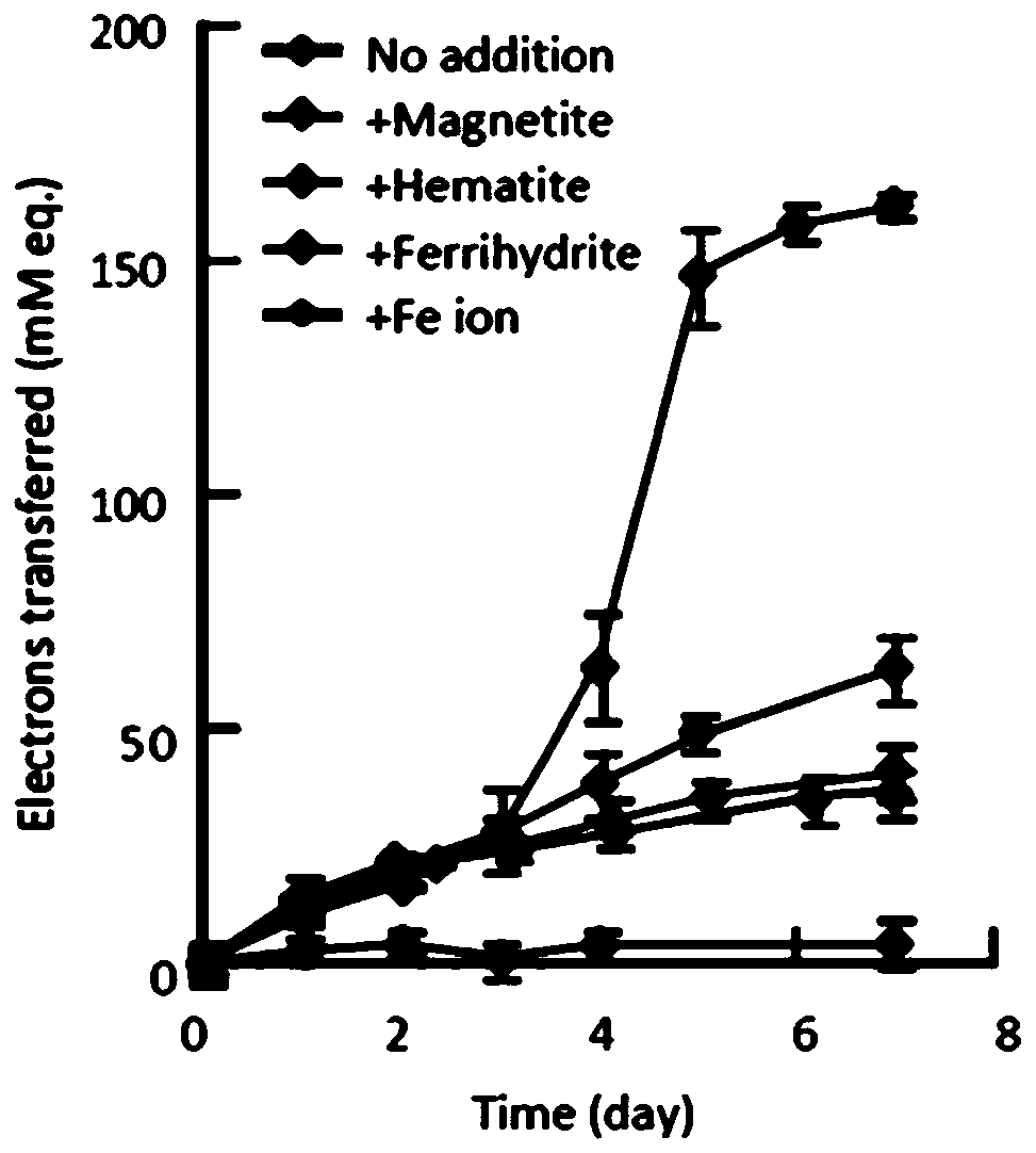 Method for enhancing production of methanol by using filter screen structure through anaerobic digestion of municipal sludge