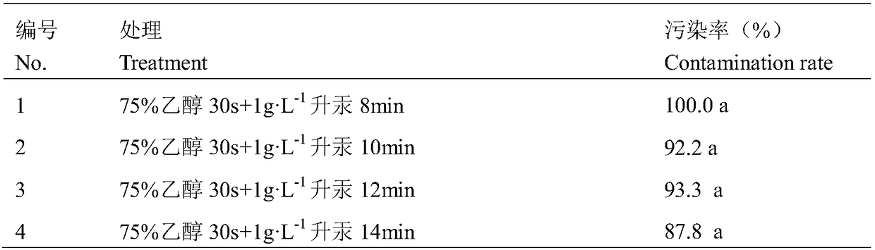 A kind of primary tissue culture method of genkwa stem segment explant