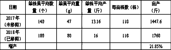 Method for shaping and pruning passion fruit branches