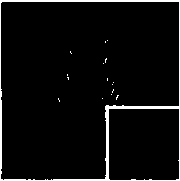 Image restoration method based on convolutional neural network with symmetric cross layer connection