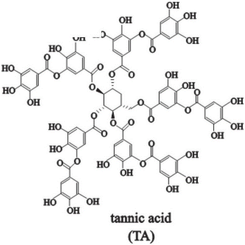 Application of tannic acid to preparation of cardiac hypertrophy antagonist