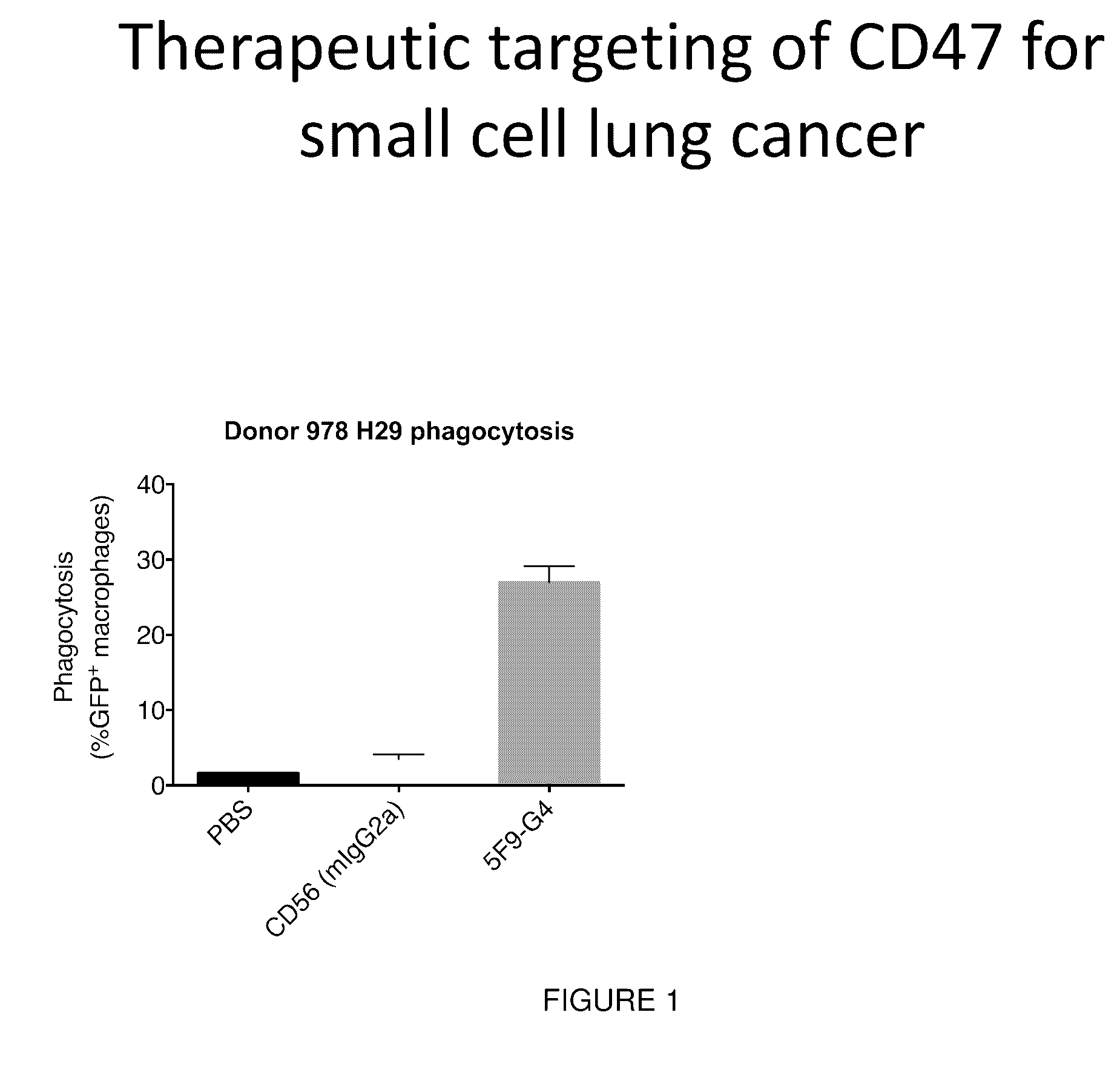 Targeted Therapy for Small Cell Lung Cancer