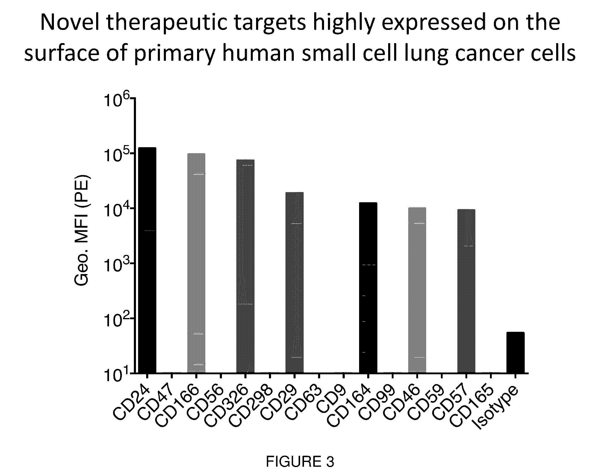 Targeted Therapy for Small Cell Lung Cancer