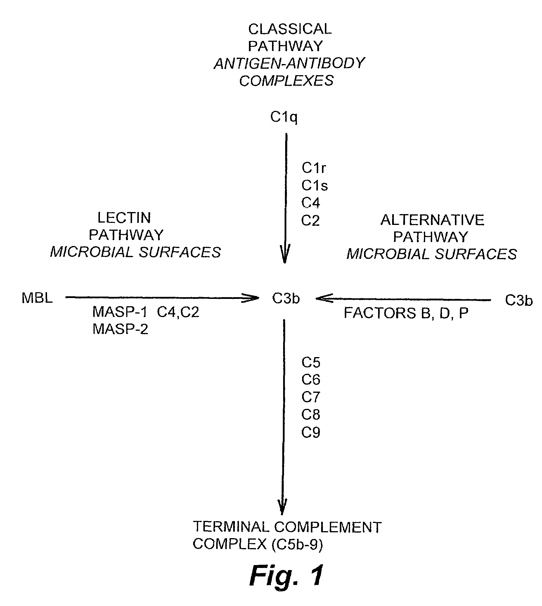 Methods and products for regulating lectin complement pathway associated complement activation