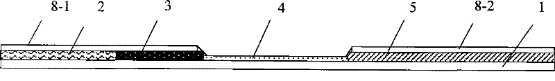 Test paper strip for detecting Porcine Parvovirus and porcine encephalitis B virus antibody