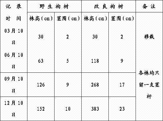 Method for improving characteristics of wild broussonetia papyrifera through germ cell culture