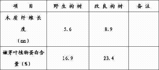 Method for improving characteristics of wild broussonetia papyrifera through germ cell culture